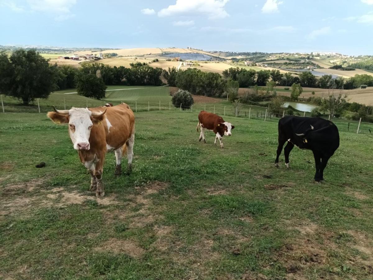 Casa Di Campagna Villa De Luca Bellante Bagian luar foto