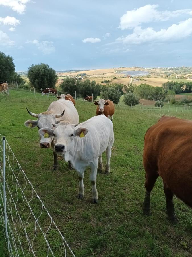 Casa Di Campagna Villa De Luca Bellante Bagian luar foto