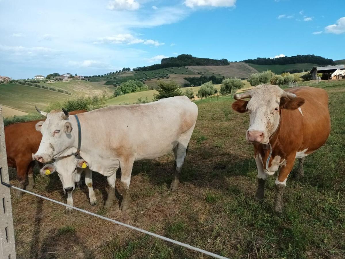 Casa Di Campagna Villa De Luca Bellante Bagian luar foto