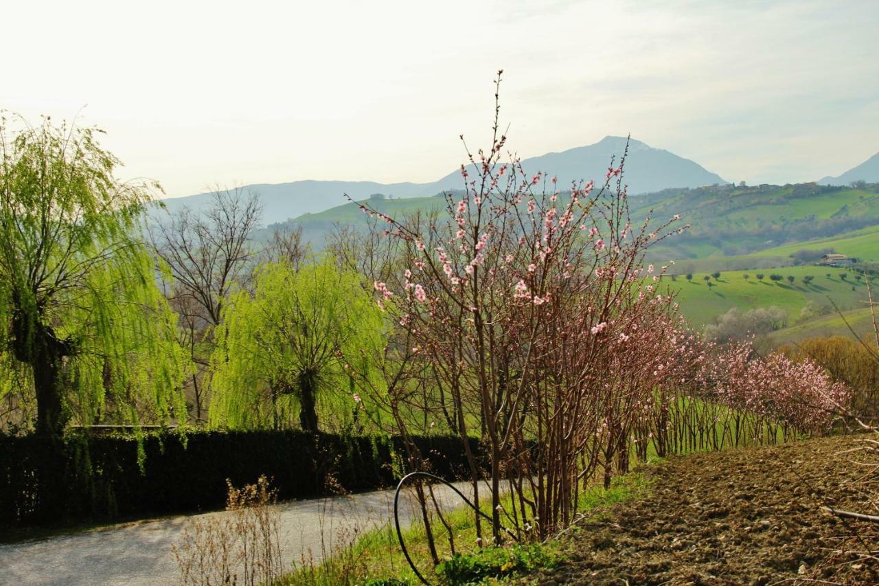Casa Di Campagna Villa De Luca Bellante Bagian luar foto